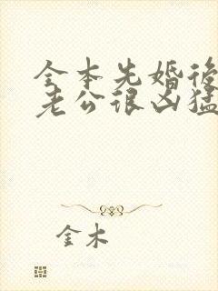 全本先婚后爱:老公很凶猛