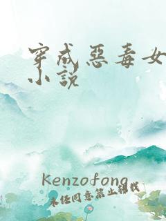 穿成恶毒女配的小说