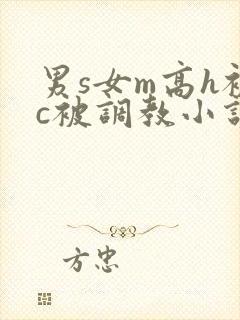 男s女m高h被c被调教小说