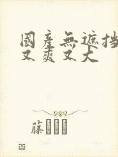 国产无遮挡又黄又爽又大