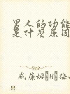 男人的功能不行是什么原因