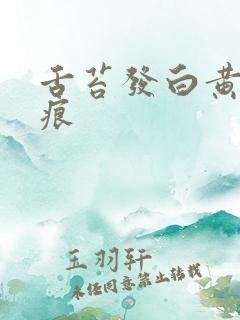 舌苔发白黄有齿痕