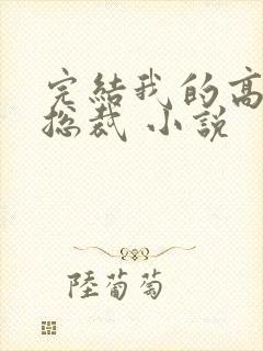 完结我的高冷女总裁 小说