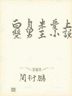 白月光爱上替身双男主小说