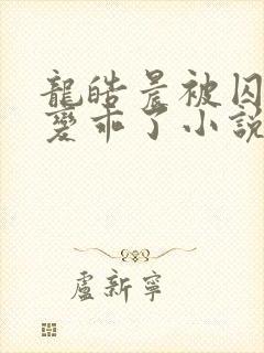 龙皓晨被囚禁后变乖了小说