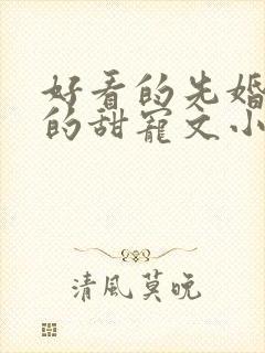 好看的先婚后爱的甜宠文小说