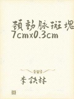 颈动脉斑块1.7cmx0.3cm