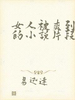 女人被爽到呻吟的小说片段