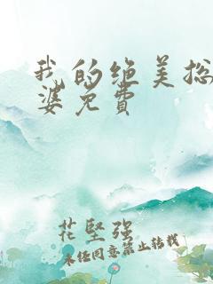 我的绝美总裁老婆免费