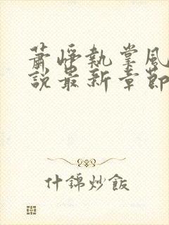 萧峥执掌风云小说最新章节