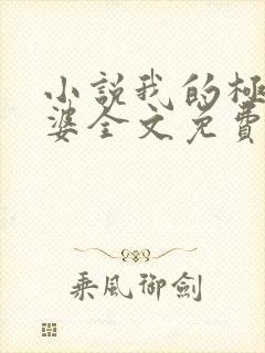 小说我的极品老婆全文免费阅读