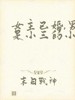 女主已婚,男主是小三的小说