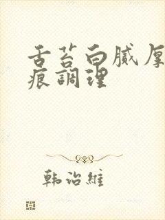 舌苔白腻厚有齿痕调理