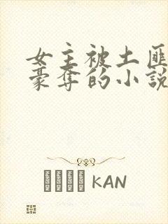 女主被土匪强取豪夺的小说