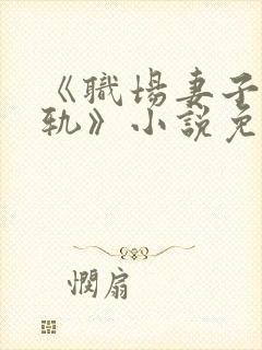 《职场妻子的出轨》小说免费阅读