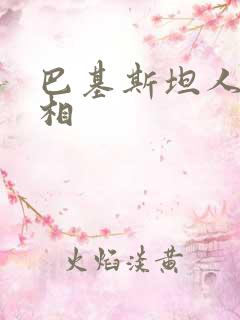 巴基斯坦人的长相