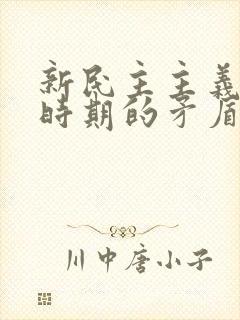 新民主主义革命时期的矛盾