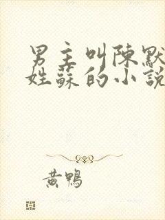 男主叫陈默女主姓苏的小说