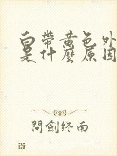 白带黄色外阴痒是什么原因