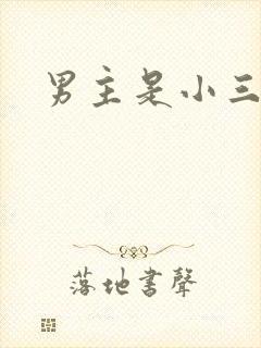男主是小三的文