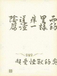 阴道痒里面有豆腐渣一样的白东西