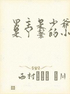 男主是少爷女主是丫鬟的小说