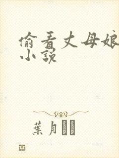 偷看丈母娘洗澡小说