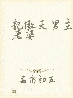龙傲天男主是我老婆