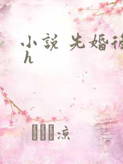 小说 先婚后爱 h