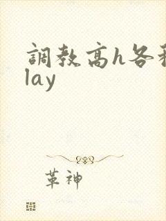 调教高h各种play