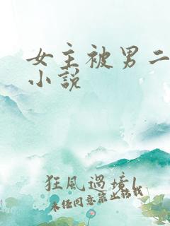 女主被男二强的小说