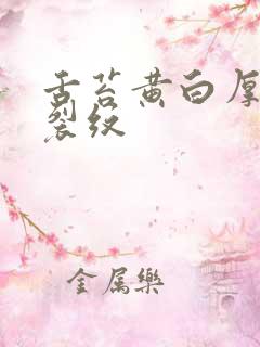 舌苔黄白厚腻有裂纹