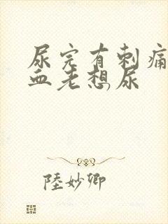 尿完有刺痛感有血老想尿