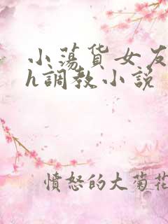 小荡货女友小怡h调教小说