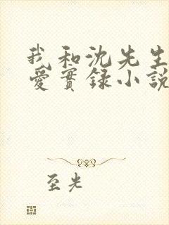 我和沈先生的恋爱实录小说免费阅读