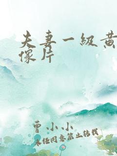 夫妻一级黄色录像片