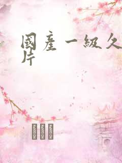 国产一级久久久片