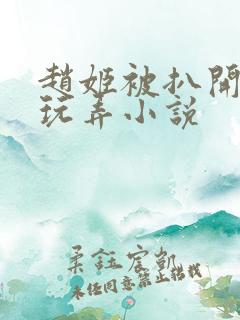 赵姬被扒开双腿玩弄小说