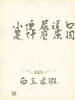 小便尿道口疼痛是什么原因引起的