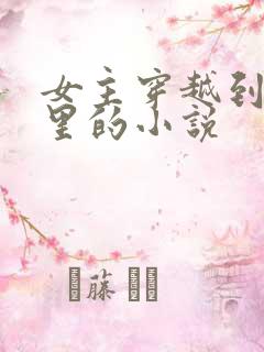 女主穿越到小说里的小说