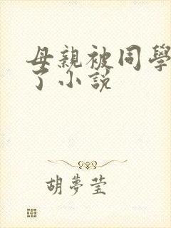 母亲被同学夺走了小说
