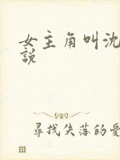 女主角叫沈的小说