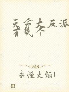 天命大反派女主有几个