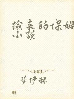 捡来的保姆许姨小说