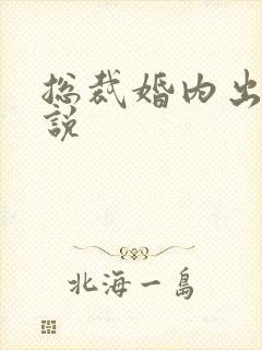 总裁婚内出轨小说