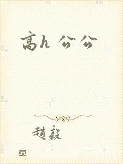 高h 公公