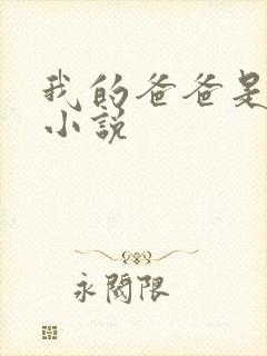 我的爸爸是伪娘小说