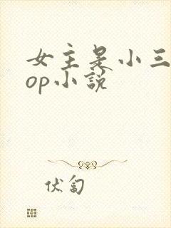 女主是小三的pop小说