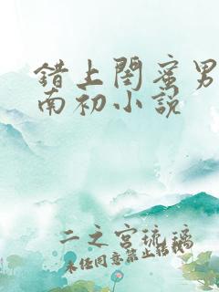 错上闺蜜男友沈南初小说