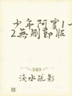 少年阿宾1～72无删节版